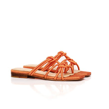 Charger l'image dans la galerie, TARA