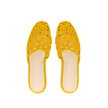 Charger l'image dans la galerie, IRIS